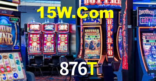 Programa VIP 876T
